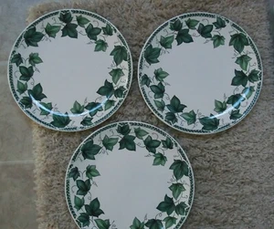 NANCY CALHOUN Cafe Classico VISTA VERDE Ivy Leaf 3 DINNER PLATES - Picture 1 of 2