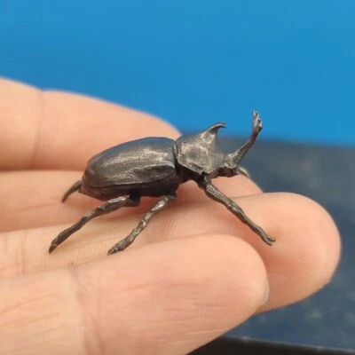 Estatuilla de latón negro bronce insecto rinoceronte escarabajo estatuilla adornos HUI0027 Foto 1 de 4