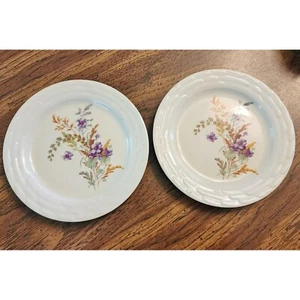 2 Vintage Floral Violet 6 Inch Bread Plates - Picture 1 of 3