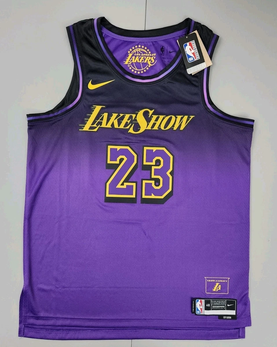 Preços baixos em Lebron James Roxo Los Angeles Lakers Roupas e