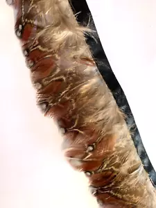 Natural Tragopan Pheasant Feather Fringe Ribbon Trim Price for 50cm DIY Craft - Picture 1 of 5