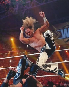 SHAWN MICHAELS vs THE UNDERTAKER  8X10 PHOTO WRESTLING PICTURE - Picture 1 of 1