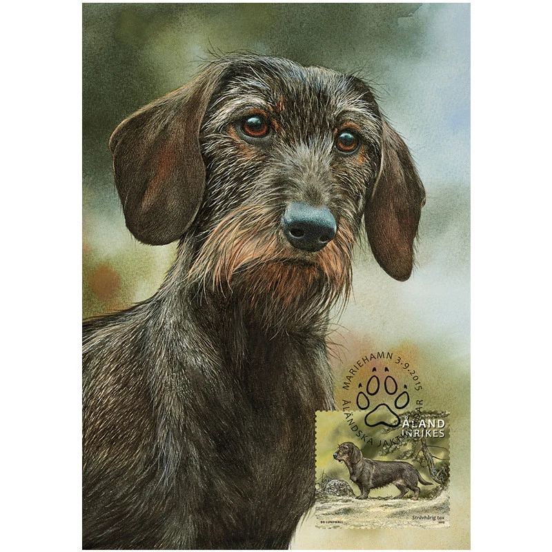 Dachshund Hunting Dog Aland Finland Mint Maxi FDC 2015 - Image 1 of 1