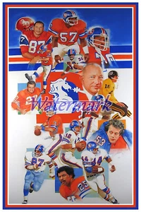 Denver Broncos Montage Tribute Color 8 X 12 Photo Picture - Picture 1 of 1