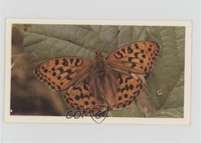 1983 Doncella British Butterflies Tobacco High Brown Fritillary #6 1i3