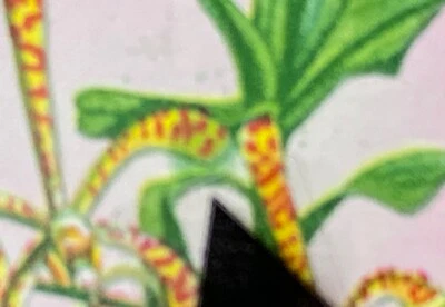 SINGAPORE Variety:  1966 1¢ Orchid  "Leaf Flaw"  UM - Image 1 of 4