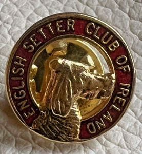 INSIGNIA PIN SETTER CLUB OF IRELAND INGLÉS - Imagen 1 de 3
