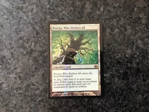 Magic MTG - Boseiju, Who Shelters All - FTV From the Vault: Realms NM - Picture 1 of 2