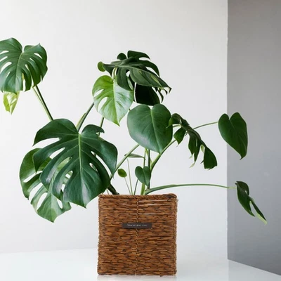  Geflochtener Blumentopf Blumenübertopf Kleiner Rattan Gewebter Blumenkorb - Bild 1 von 4