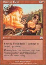 MTG magic cards 2x x2 Light Play, English Searing Flesh Onslaught