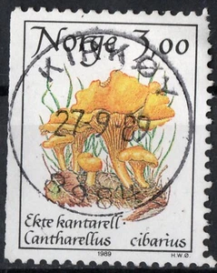 E1 Noruega 1989, NK 1061 SON Kirkøy 27-9-89 (NO) - Imagen 1 de 1