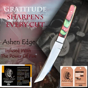Ashen Edge Handmade Hand Forged AUS-8 Steel Tanto Knife Hard Wood Steel Bolster - Picture 1 of 6