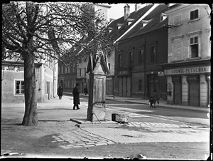 by Eduard PEZDIKA, OLD Vienna, vintage fine art GLASS negative! 1925, 1920's, - Picture 1 of 6