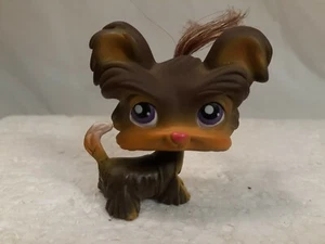 Littlest Pet Shop Terrier con capelli - Foto 1 di 4