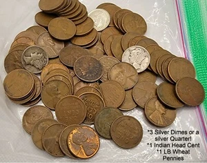 Unsearched 1 Pound 1 lb Wheat Cents with Indian Head and free SILVER - Picture 1 of 2