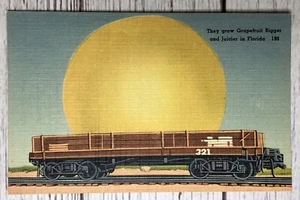 Florida FL Grapefruit Bigger & Juicier Exaggerated Sun Postcard - Picture 1 of 2