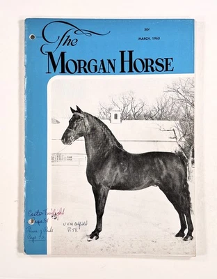 1963 Mar THE MORGAN HORSE Riding BREEDING Horse Shows CLUB NEWS pedigrees PHOTOS - Image 1 of 4
