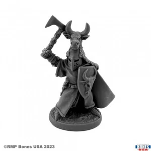 Reaper Bones USA 30151 SIR GUY THE RED HERALDIC KNIGHT - Picture 1 of 1