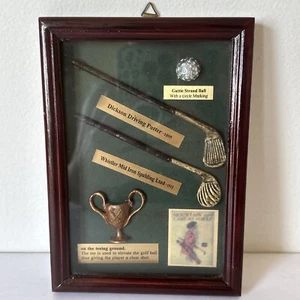 Development Golf Ball Club Iron Wood History 3D Framed Shadow Box Display - Picture 1 of 4