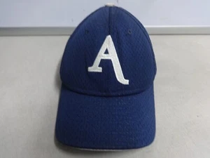 Vintage Asheville School Blues Baseball Men Med / Large Ballcap Made by DeLong 2 - Picture 1 of 9