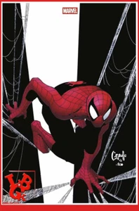 MARVEL COMICS II 15 Collector 2025 Panini Avengers Spiderman Variant VF # NEUF # - Foto 1 di 1