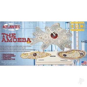 Atlantis Models Amoeba kit scientifico modello plastica monocellulare STEM - Foto 1 di 1
