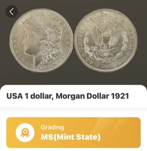 1921 Morgan Silver Dollar, US $1, Uncirculated, Mint Condition - Picture 1 of 4