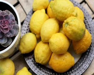 11731.Decor Poster.Room wall.Home modern design.Kitchen food art.Yellow lemons - Picture 1 of 1