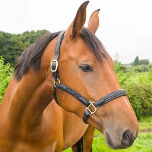 Horse Leather Headcollar Halter Black Brown Braided Plaited Equine Pony Cob Full - Picture 1 of 9