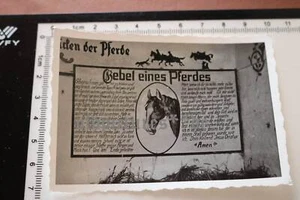 altes Foto Gebet eines Pferdes - Rettershof Taunus ?? 1942 ? - Picture 1 of 2