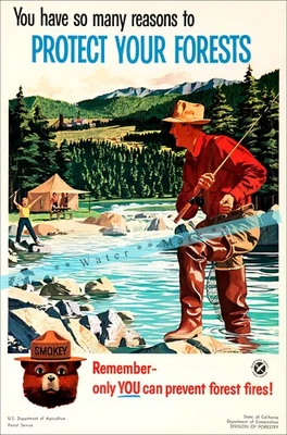 Smokie El Oso 1960 Protege Tu Bosque Vintage Póster Impresión Estilo Retro Arte Foto 1 de 4