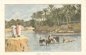 TUNISIE TUNISIA TOZEUR BORDS DE L' OUED IMAGE COULEURS 1906 PRINT - Bild 1 von 1