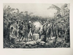 1886 SAVORGNAN DE BRAZZA 5 JOURNAUX ANCIENS - Picture 1 of 5