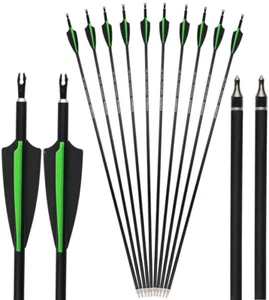 12pcs Carbon 30"  Hunting Vane Spine 500 Recurve Bow Compound Bow Arrows - Picture 1 of 13
