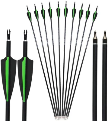 12pcs Carbon 30"  Hunting Vane Spine 500 Recurve Bow Compound Bow Arrows - Image 1 of 4