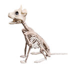 Halloween Animals Skeleton Bones Simulation Horror Prop Party Creepy Decor New