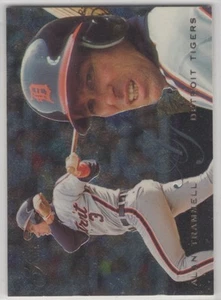 Juego de equipo de béisbol Fleer Flair 1995 de los Tigres de Detroit - Imagen 1 de 1
