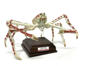 Spider Crab Figure Kaiyukan Museum Nature Technicolor Makoto Fujisei/Kitan Club - Picture 1 of 6