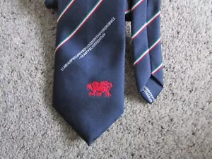 Welsh Wales Town Which is Too Long to List Dragon Motif Polyester Tie - Picture 1 of 5