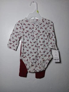 Carter's 3M Girls 2-Peice Floral Gray Red Long Sleeve Outfit - Picture 1 of 2
