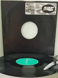 SDP - Back To The House Of Pain - 1996 DTM Recordz 12" Excelente Single - Imagen 1 de 2