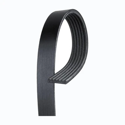 Cinturón serpentino acanalado en V negro 6 costillas ACDelco genuino para Infiniti Q45 2002-2006 Foto 1 de 4