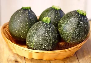 Runde Zucchini - Cucurbita pepo - Kürbis - 10 Samen - Bild 1 von 2