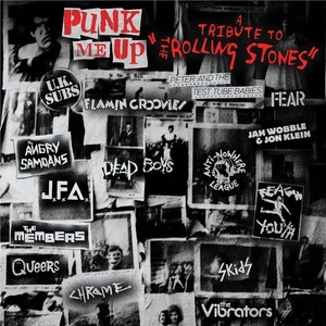 Various Artists Punk Me Up: A Tribute to the Rolling Stones (Vinyl) (US IMPORT) - Picture 1 of 3