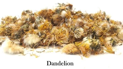 Dried Dandelion Flowers - Pet Food & Treats - Tortoise Rabbit Degu Reptile Bunny