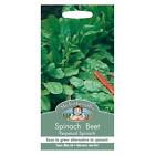 Mr Fothergills Vegetable Seeds Beet Perpetual Leaves Alternative To Spinach