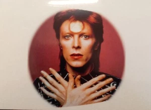 David Bowie mirror sticker  Mods Vespa Lambretta Scooter van  Sticker - Picture 1 of 1