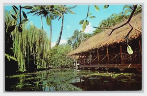 HAWAII HI ~ THE WILLOWS RESTAURANT ~ HONOLULU UNPOSTED nice - Picture 1 of 2
