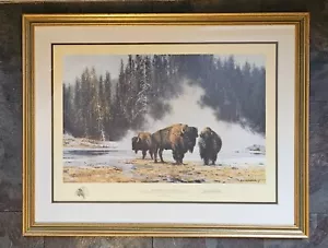 Framed Signed Ltd Ed Print "Hot Springs of Yellowstone" Bison by David Shepherd - Picture 1 of 6