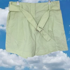 3.1 Phillip Lim Womens Green High Waisted Shorts Size 12 Belted - Picture 1 of 5